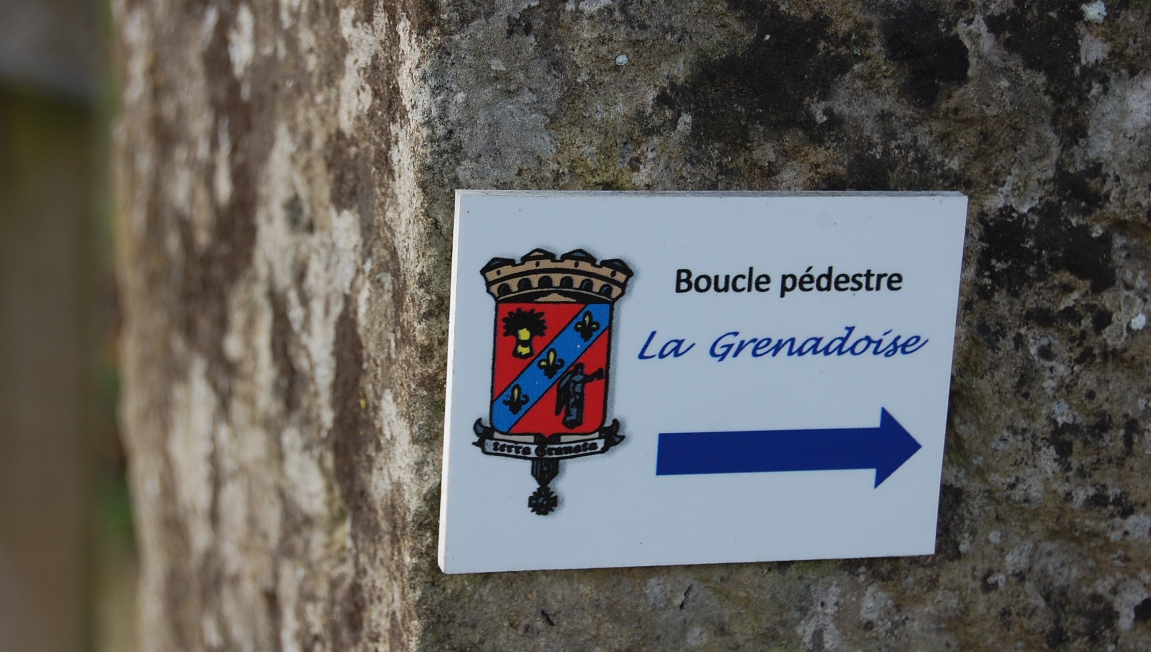 2020_La grenadoise 02 copie 2